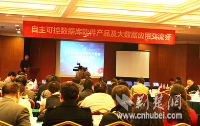 湖北軟件產業發展加速，漢產數據庫品牌挺進國際市場